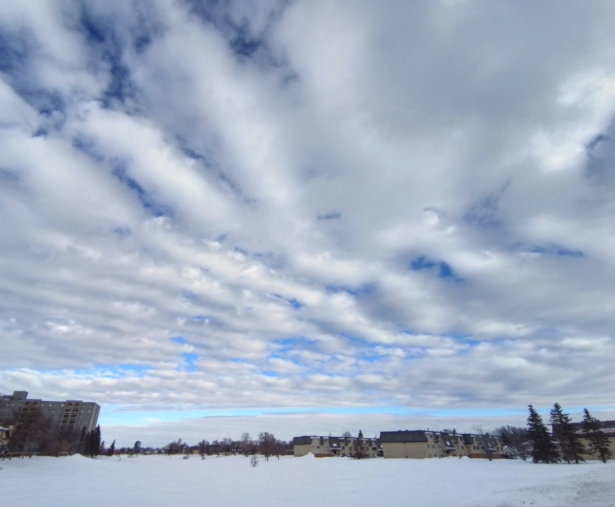 Spothe's tweet image. Gravity waves spotted in Winnipeg this morning. #mbwx #cloudnerd