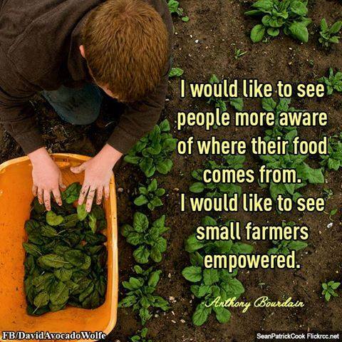 Eat local organic foods: seattleorganicrestaurants.com/vegan-whole-fo… The #organic farmer is more important to ur #childrenshealth than #pediatrician