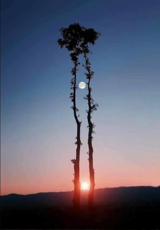 هذه الصورة استغرقت للاتقاطها 63 يوماً و16 كاميرا وهو منظر للالتقاء 🌛🌜 الشمس والقمر في خط واحد ..👍🏼