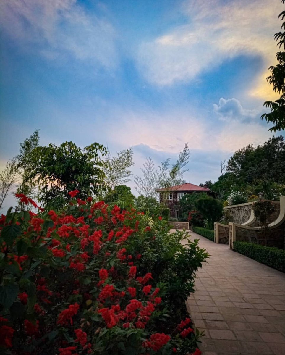 AshilyUg's tweet photo. Uganda is home to three UNESCO World Heritage Sites and her diverse landscape includes the immense Lake Victoria, the birthplace of the river Nile, the Murchison Falls, the snow-capped Rwenzori Mountains, and the remote Bwindi Impenetrable Forest, https://t.co/EDH7P4C2QW