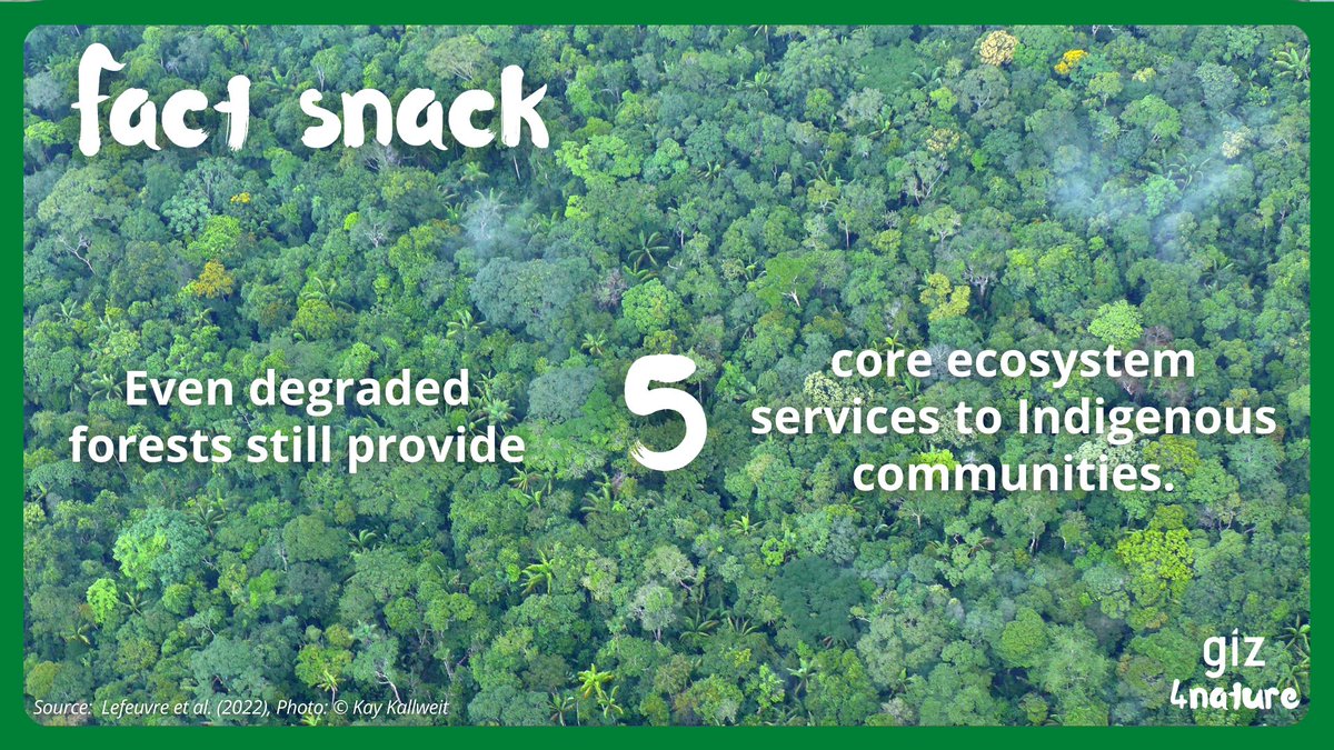 giz4nature's tweet photo. Today's #factsnack is courtesy of a new study on the value of so-called "degraded forests". 📰
The 5️⃣ ecosystem services they still provide:
💧Clean water
🌬Clean air
🌡Temperature regulation
⛰Prevention of erosion
🌊Prevention of flooding
Learn more: https://t.co/TSrp8B3aEj https://t.co/moZmO5wRFV