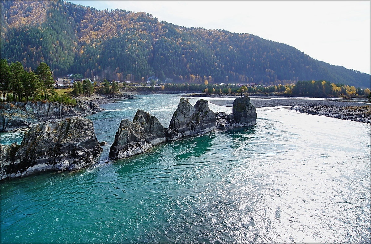 Зубы дракона киев