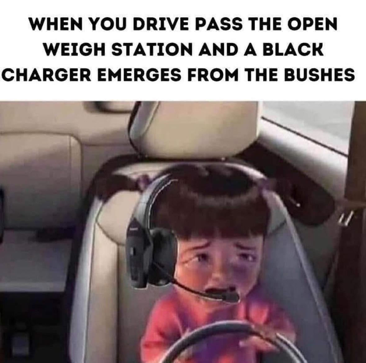 Please leave me alone 😩😂😂😂
.
#onestopshop #bumblebee #logistics #transportation #transportationservices #academy #trainingacademy #freightagant #freightagenttraining #freightbrokerage #onlineclasses #startyourownbusiness #makemoney #dispatchservices #getfuelcard