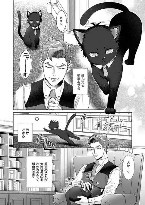 ナンジャコラボの猫化忠愛、可愛すぎてズルい…😂😂😂 