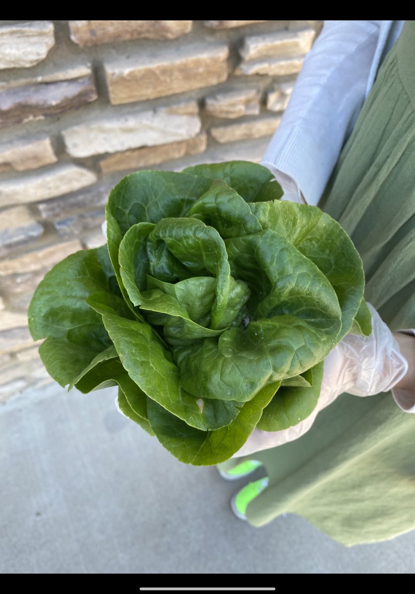 Double Up Arizona tweet media