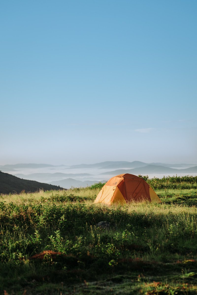 summer mornings in the blue ridge