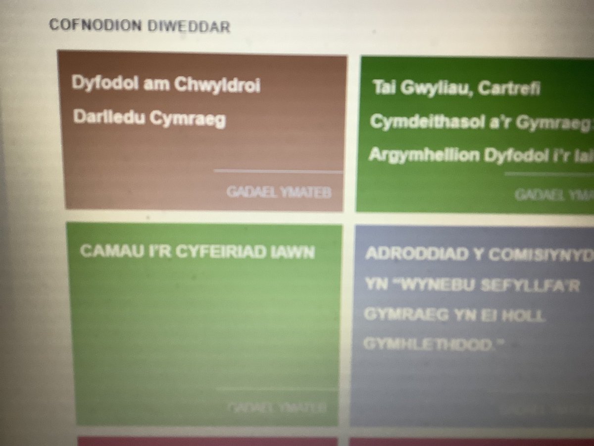 Ewch i’n gwefan (Dyfodol.net) i ddarllen ein galwad am chwyldroi darlledu Cymraeg. Yn gryno iawn: trosglwyddo’r cyfryngau yng Nghymru i awdurdod annibynnol, rhyddhau S4C o hualau’r BBC, a gwarchod y gwasanaeth radio Cymraeg
