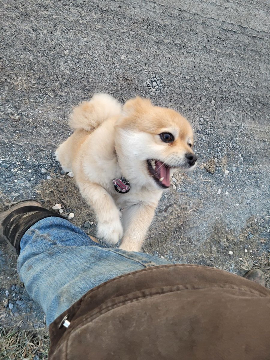 GarrettShorb's tweet photo. @elonmusk saw this at work today is it a sign to buy ?!?!?!? 😂
#dogecoin #SHIB #CryptoNews @AustinS_finance https://t.co/x4mCNlcGCJ