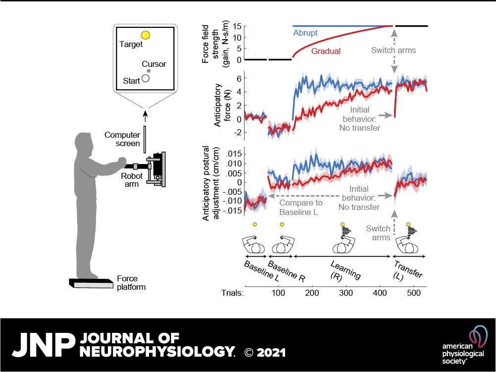 JNeurophysiol's tweet photo. Check out JNP's #Freearticleoftheweek - "Whole body adaptation to novel dynamics does not transfer between effectors"
Alison Pienciak-Siewert and Alaa A. Ahmed
#Interlimb #Motorerror #Neuroscience
@CUBoulder
https://t.co/wryLlm1ZZX https://t.co/88Gzavbp7W