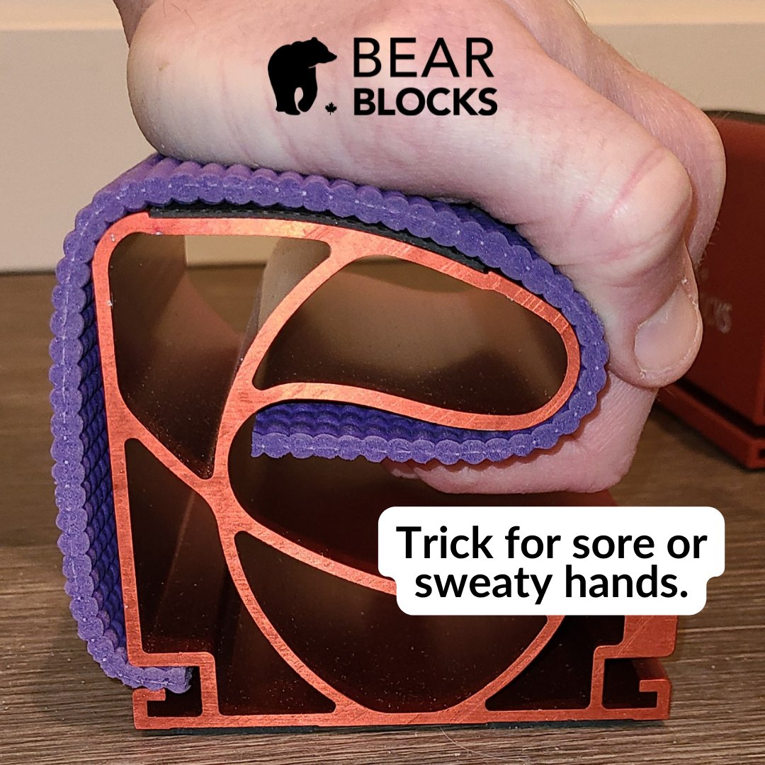 Bear Blocks tweet media