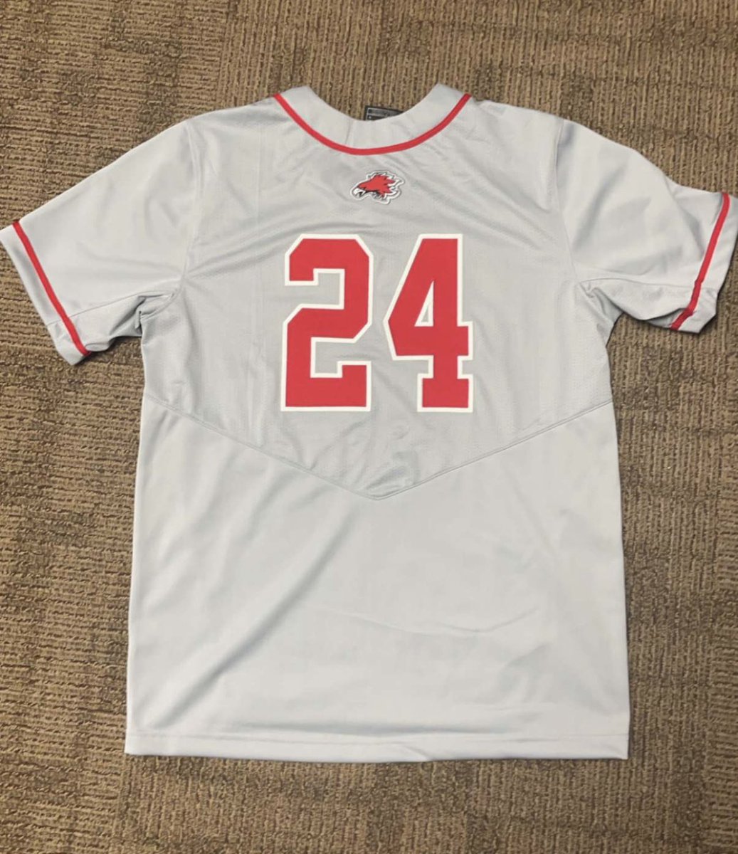 DLHSBaseball's tweet photo. New threads arrived today! #firebirdbaseball https://t.co/sy3XDdTh02