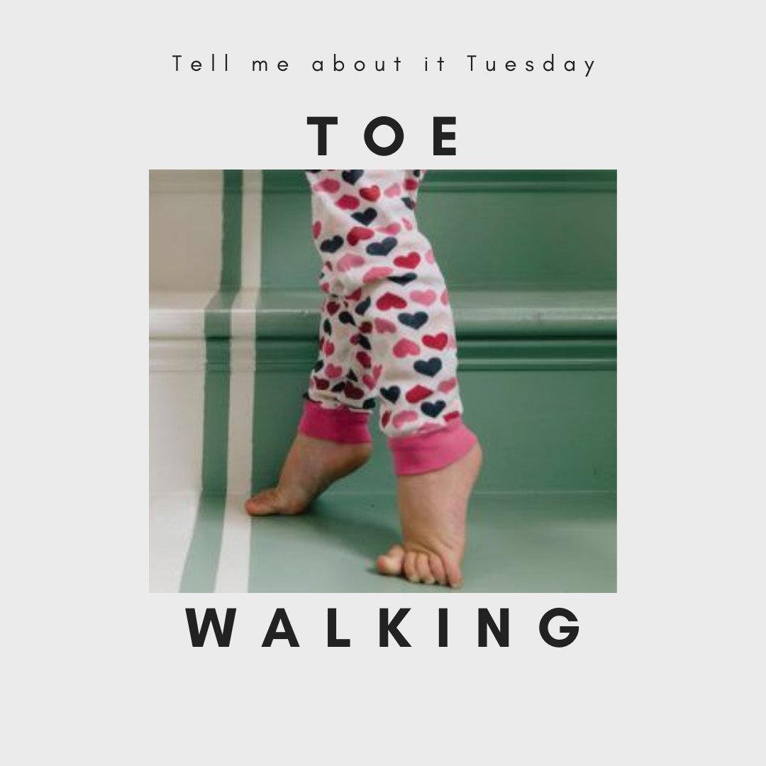 makingwavesptc's tweet image. Read up on #toewalking in this awesome blog post we found: blog.dinopt.com/toe-walking/
.
.
#makingwaves #occupationaltherapy #toewalking #therapyisfun #mwptc