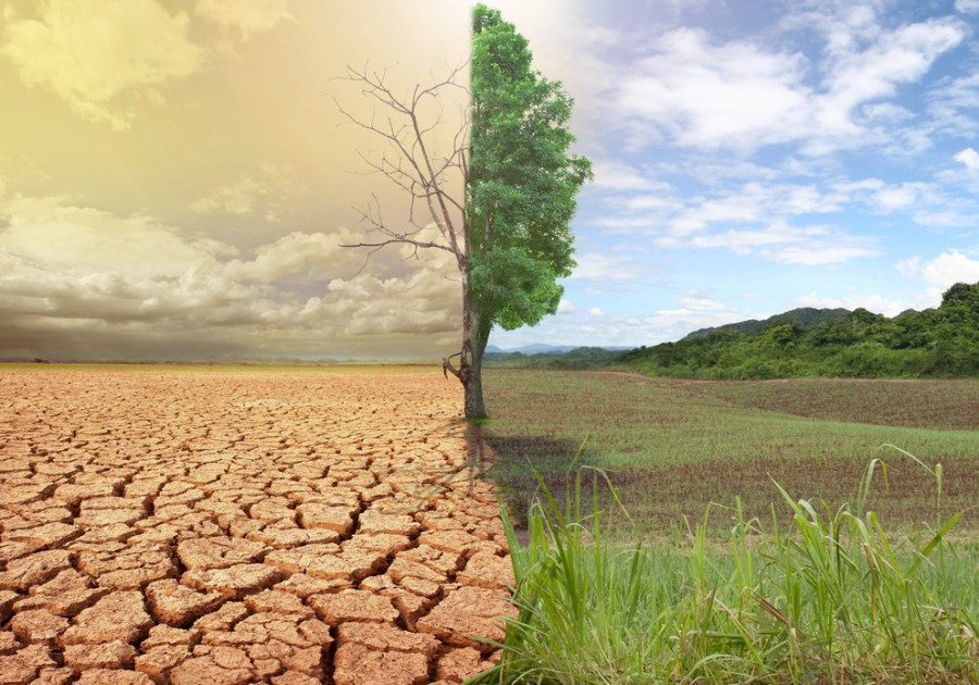 UN_Albania's tweet photo. Why 2022 will matter for climate action?
We invite you to read an interesting account of key #climateaction events happening this year.
In English : https://t.co/KQ337PsJmN
In 🇦🇱: https://t.co/J2sSGBSm4i
🙏 #MonitorMagazine for supporting our advocacy on #climateaction https://t.co/hphOgUpImr