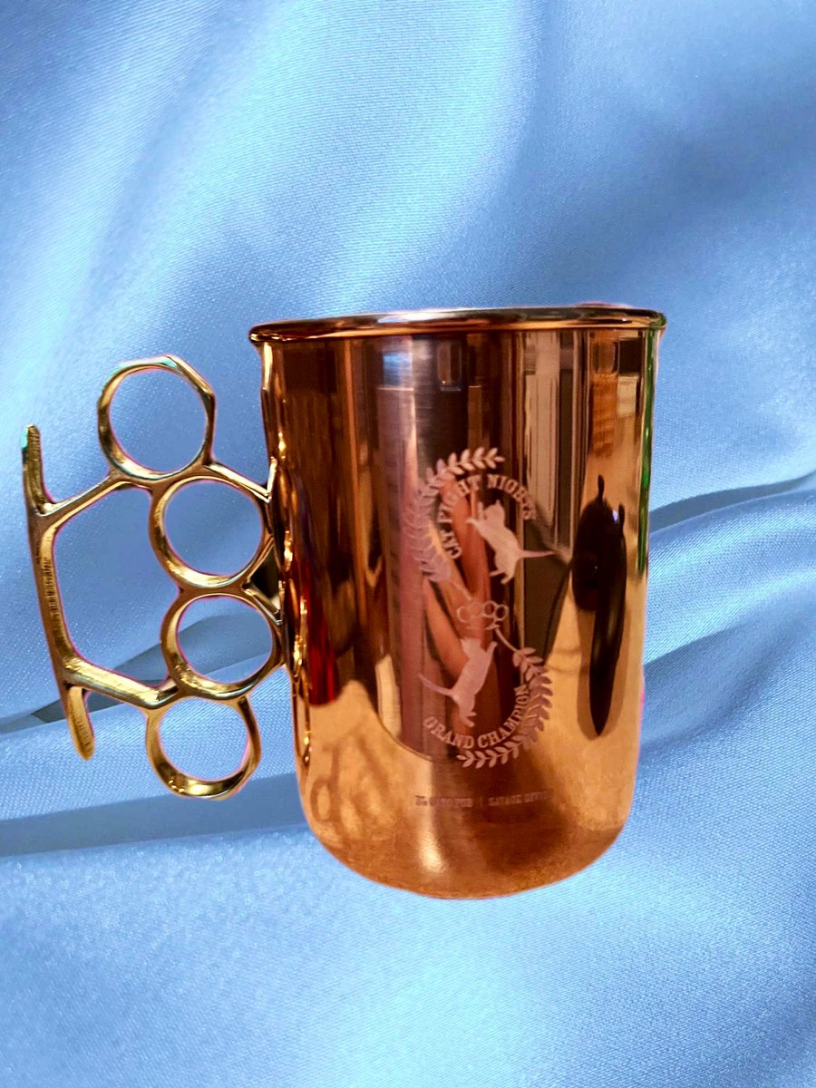 CourierZero7's tweet photo. Such a beautiful copper Moscow Mule Mug 🤩 A big thank you to the @Gato_Pub and Company for the opportunity to win this awesome heavyweight trophy. #CatFightNights #HeavyWeightChampion #Fallout76Boxing https://t.co/2EruFAdisr