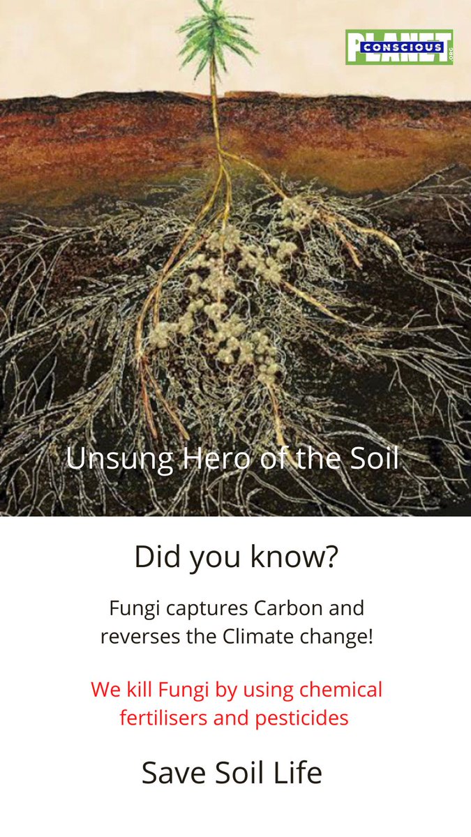 knantha1992's tweet photo. Time to craft #ConsciousPlanet with Healthy Soil and Conscious Human Beings. Let us join the global awareness movement about #SaveSoil: https://t.co/qOOBVxZ7Yz https://t.co/7m0CByU2F0