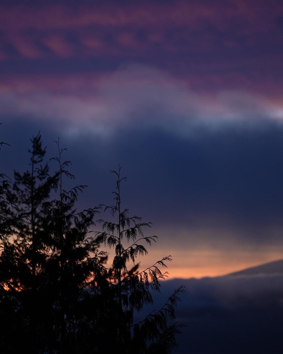 DidiPlusPing's tweet photo. A sunset of many of colours 🌅💜 https://t.co/sWoU2FzXjP