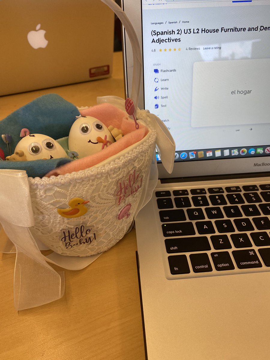 emilygomezeggs's tweet photo. The twins listened as i learn a new unit in Spanish class today!  @Ap_eggsperiment https://t.co/Mv65akGH9m