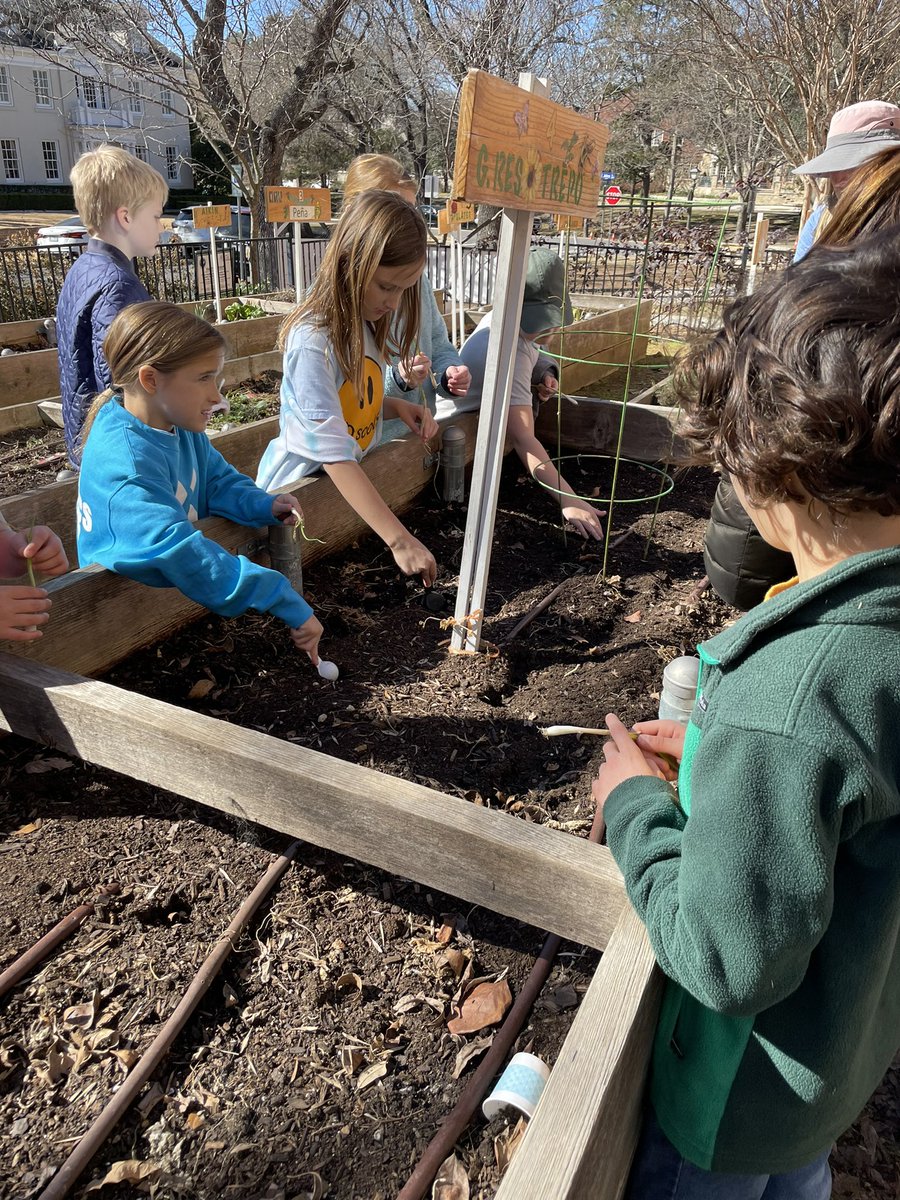 MsRestrepo4's tweet photo. So happy to be back in the garden!! 🧑‍🌾👩‍🌾🌻 https://t.co/cP8Xjmhd7Z