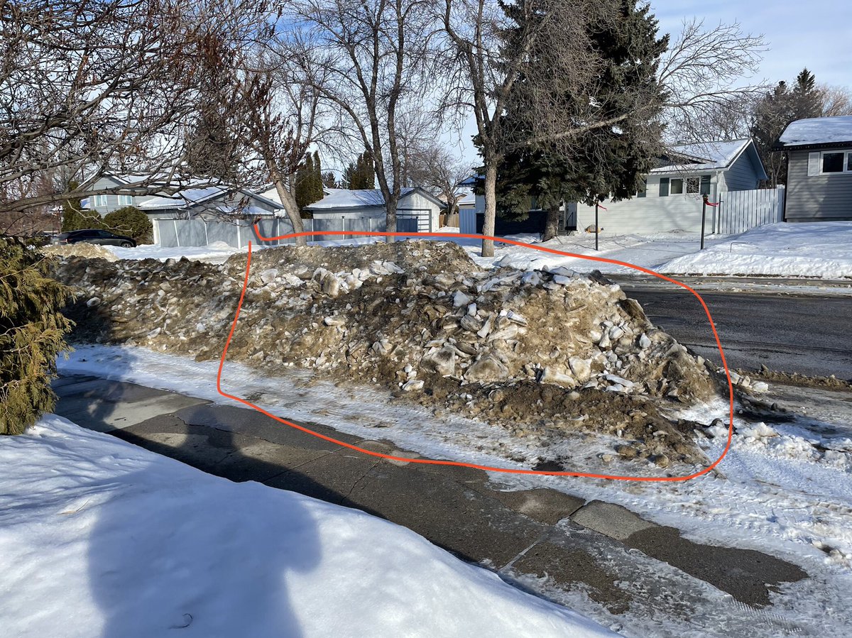 Levi Stefanson tweet media