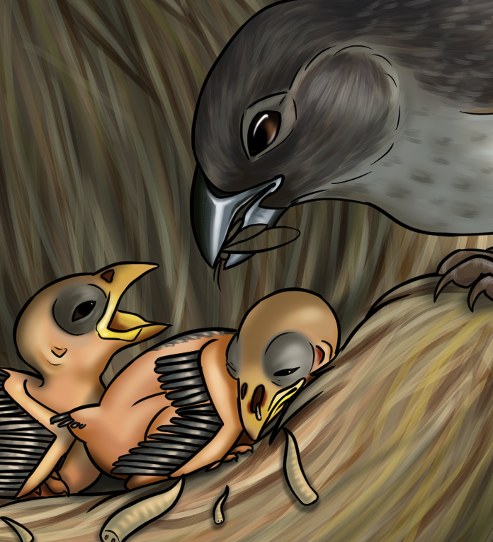 Lauren Common tweet media