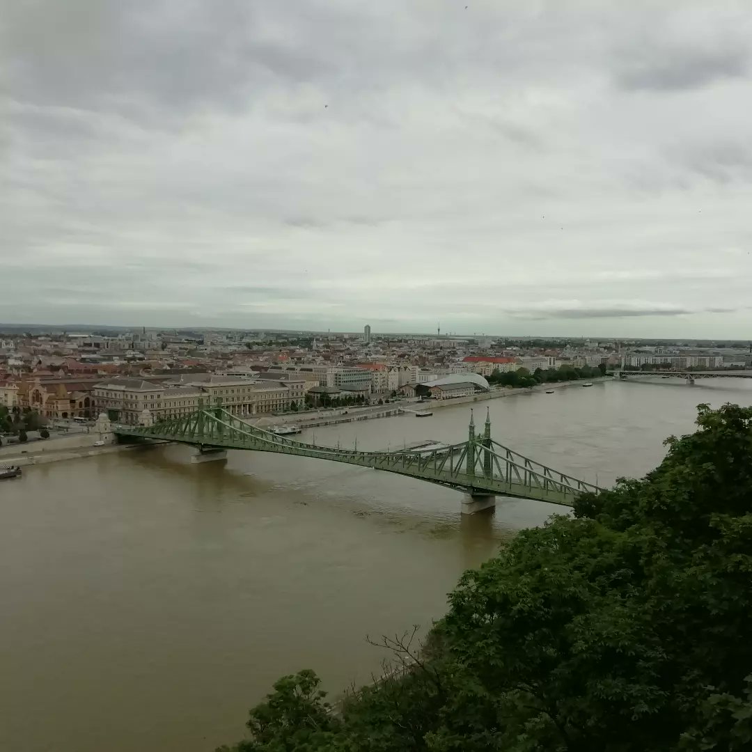 masterjimmy83's tweet photo. But those who hope in the LORD will renew their strength. They will soar on wings like eagles; they will run and not grow weary, they will walk and not be faint. Isaiah 40:31 #BibleVerses #eagleeye #wonderworld #pichazasimu #Budapest #cameraphotography #smartphonepictures https://t.co/VRLn2KPhZ8