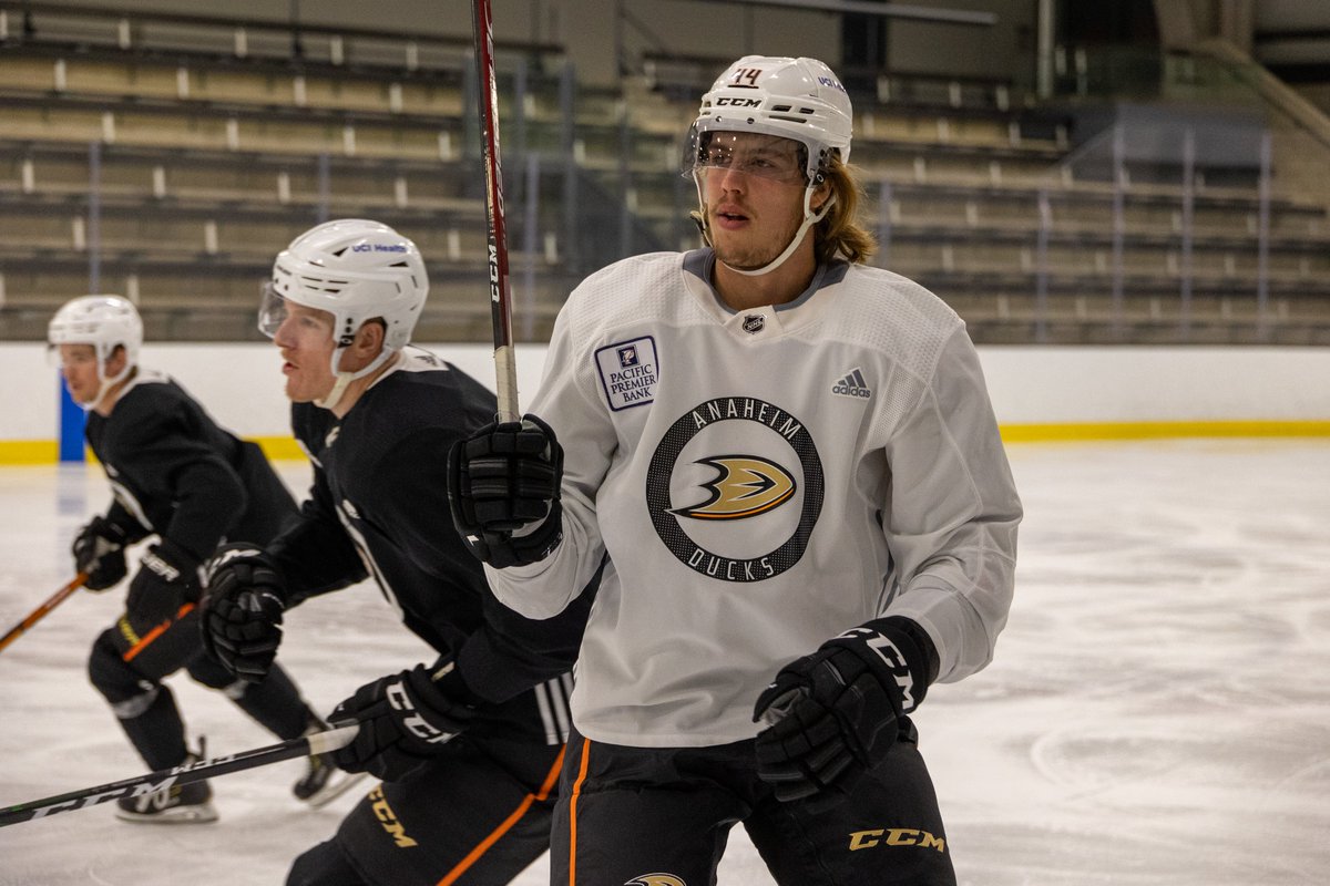 x - Anaheim Ducks tweet media