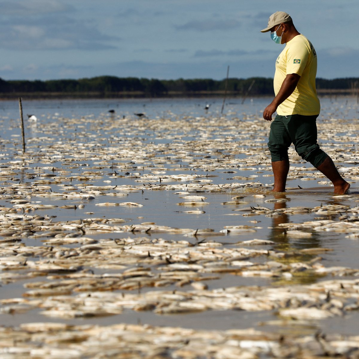CGTNOfficial's tweet photo. As #Brazil faces a punishing drought, swaths of the so-called Fish Lagoons in Rio Grande do Sul are empty of water and filled instead with vast amounts of dead #fish, the latest mass casualties of the country's dry spell. https://t.co/Pzy22DxgN4