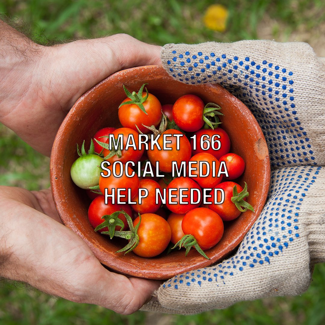 market166's tweet photo. Market 166 is looking for NEW board members -- especially people who love social media, grant writing, and/or have business experience. But no matter your experience or interests -- apply here: https://t.co/ahqDcgGclJ https://t.co/Lvdet67OLA