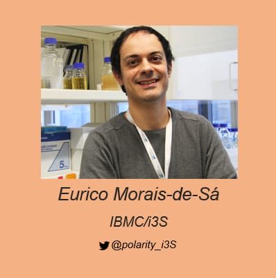 On the latest instalment of our “Meet the Scientist” series, the cell polarity wizard Eurico <a href="/Polarity_i3S/">Eurico Morais-de-Sá</a> tell us about his scientific A-list and discusses… the <a href="/Pontifex/">Pope Leo XIV</a>?? Follow us for more scientific content (and our unruly disregard of conventions).