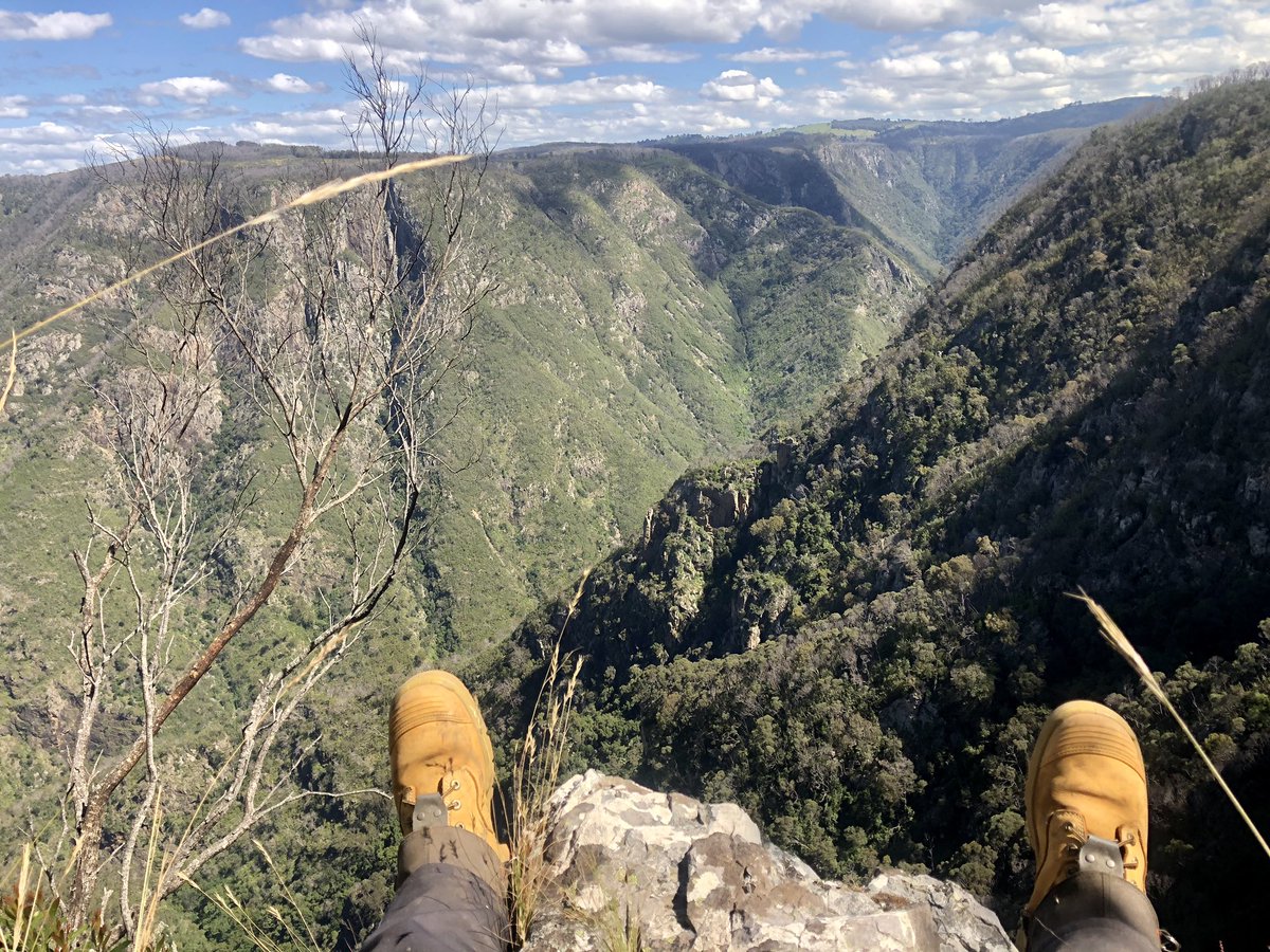 A big day in the field yesterday, but worth it to be able to sit here for 2 minutes.
#wildoz