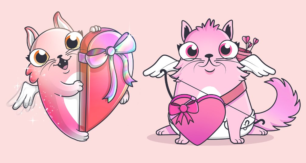 KittiesNice's tweet photo. MissPurrfect &amp; MisterPurrfect @CryptoKitties https://t.co/7ZvczZPQAo
