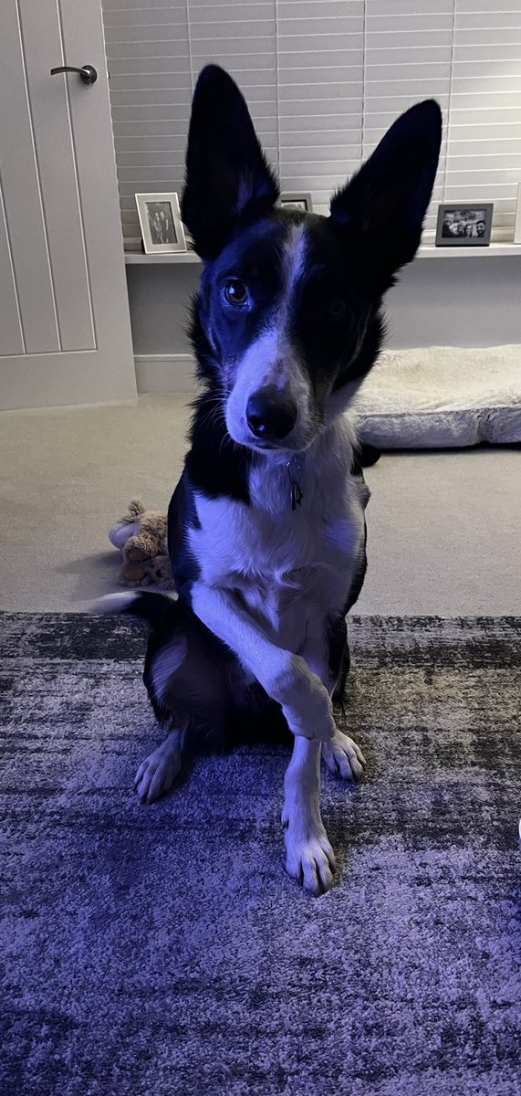 Mia Greatrex tweet media