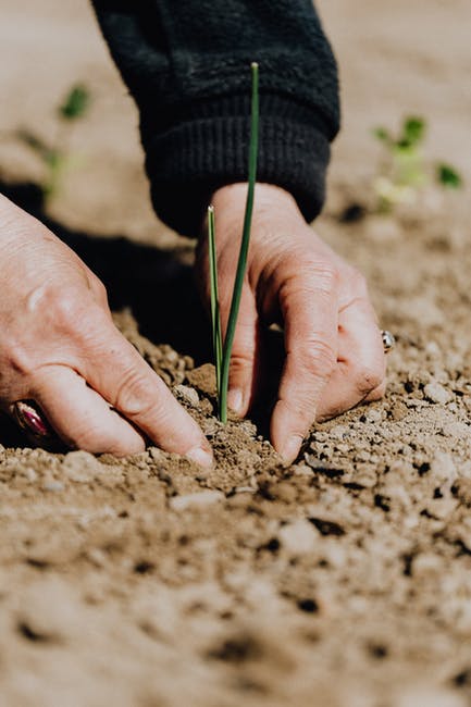 MARCKCMetro's tweet photo. Help shape news about climate change in Kansas City by completing this short survey! https://t.co/2qgMkkhT1s
@kansascitypbs @kcur @StartlandNews @kcbeacon 
#climateactionkc https://t.co/x9S758l7KI
