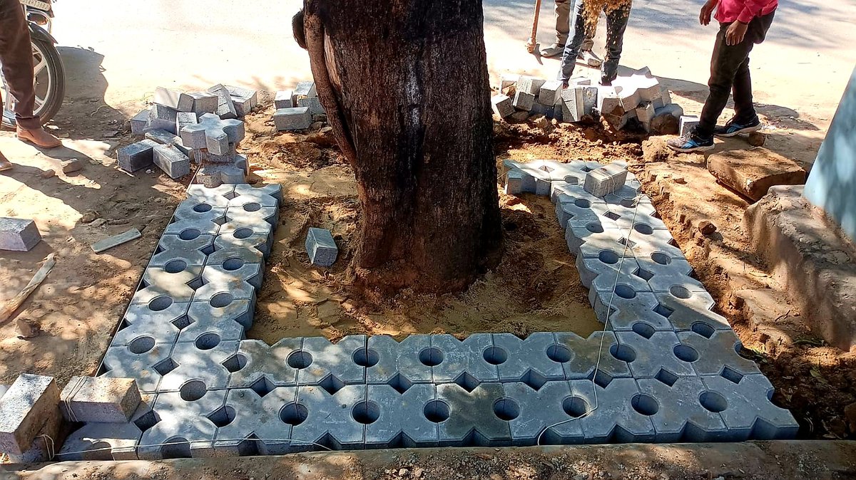 Mahesh_SharmaDB's tweet photo. मेरा शहर बदल रहा है...
#Jaipur #Tree #Tree4Earth
@ParveenKaswan @NishantJain1111 https://t.co/zLbMYcHM21