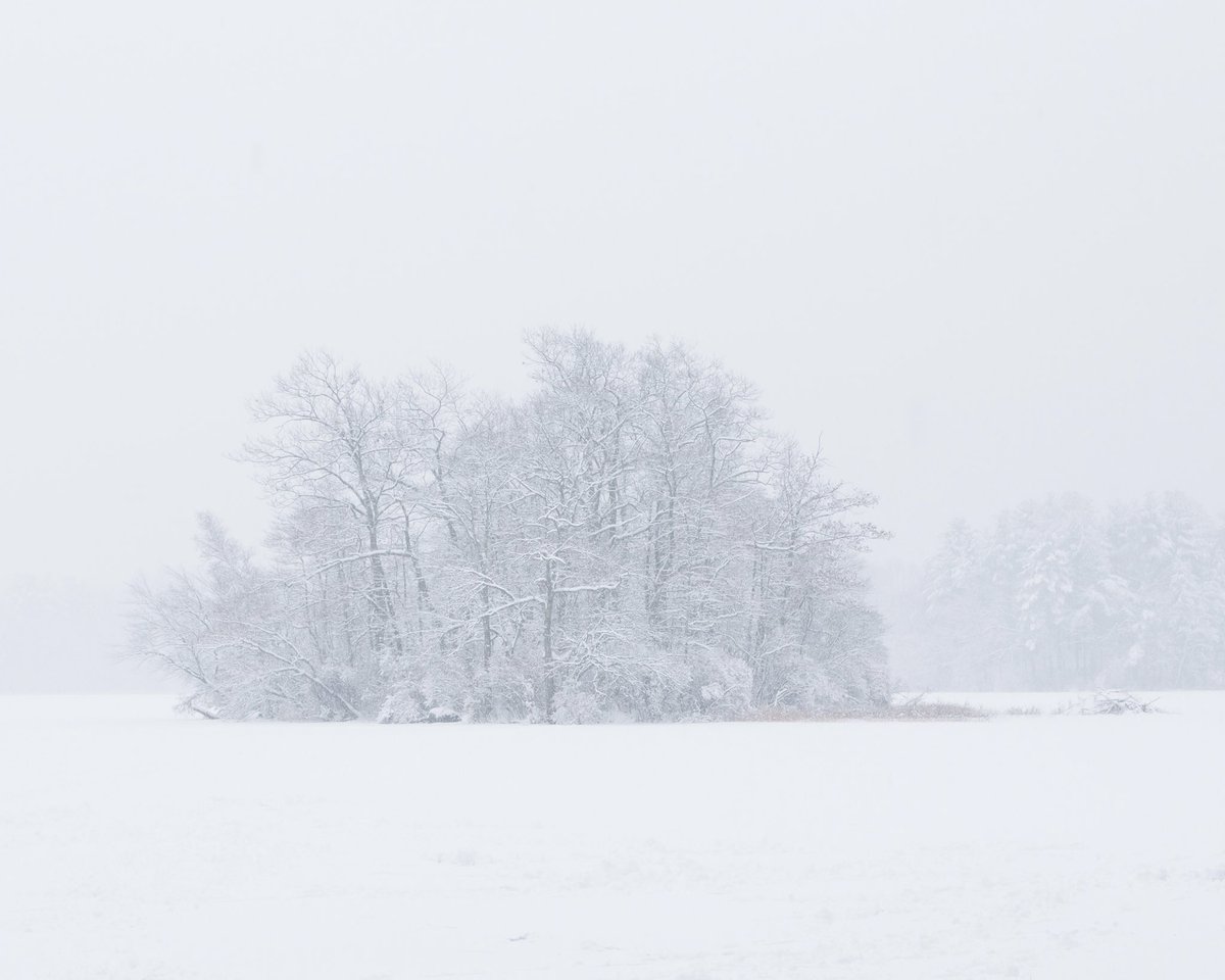 hannahjmakesart's tweet photo. @ricardobrazb A couple of my favorite white photos 🤍 https://t.co/O0veK4PHNX