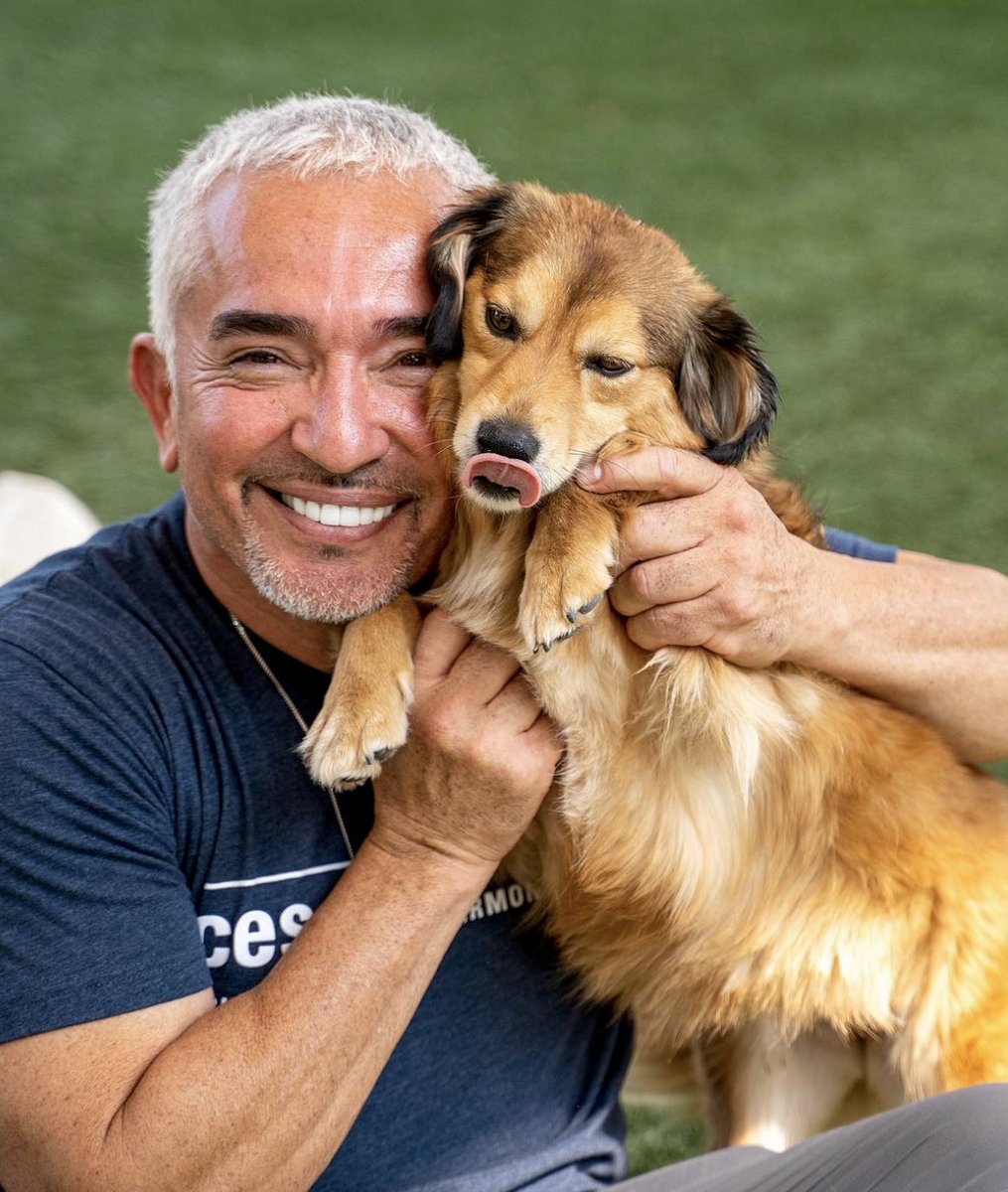 ¡Hoy nos acompaña El Encantador de Perros! <a href="/cesarmillan/">Cesar Millan</a> es un referente mundial en el adiestramiento canino y hoy, en #LaHoraHOLA, nos acompaña para revelarnos todos sus secretos. ¡No te pierdas este encuentro exclusivo de #HOLATV!
📷: #CesarMillan