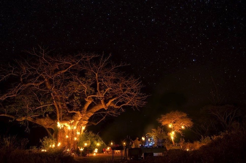 Rekindle your love in the wild❣
#LoveandTravel
#LoveZimTravel
#Camping
#GonarezhouNationalPark
#VisitZimbabwe
#AWorldOfWonders 
📸 Zimbabwe Odyssey