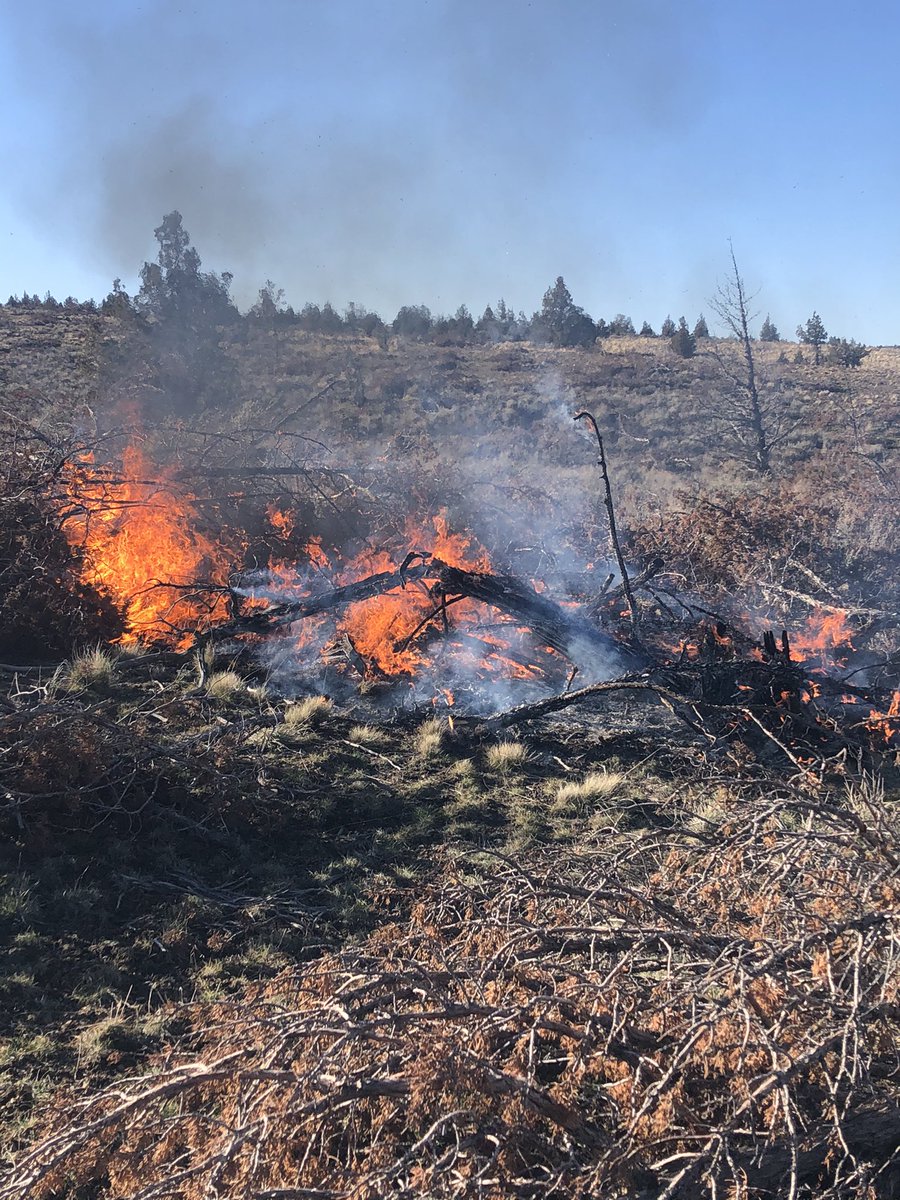 Central OR Fire Info tweet media