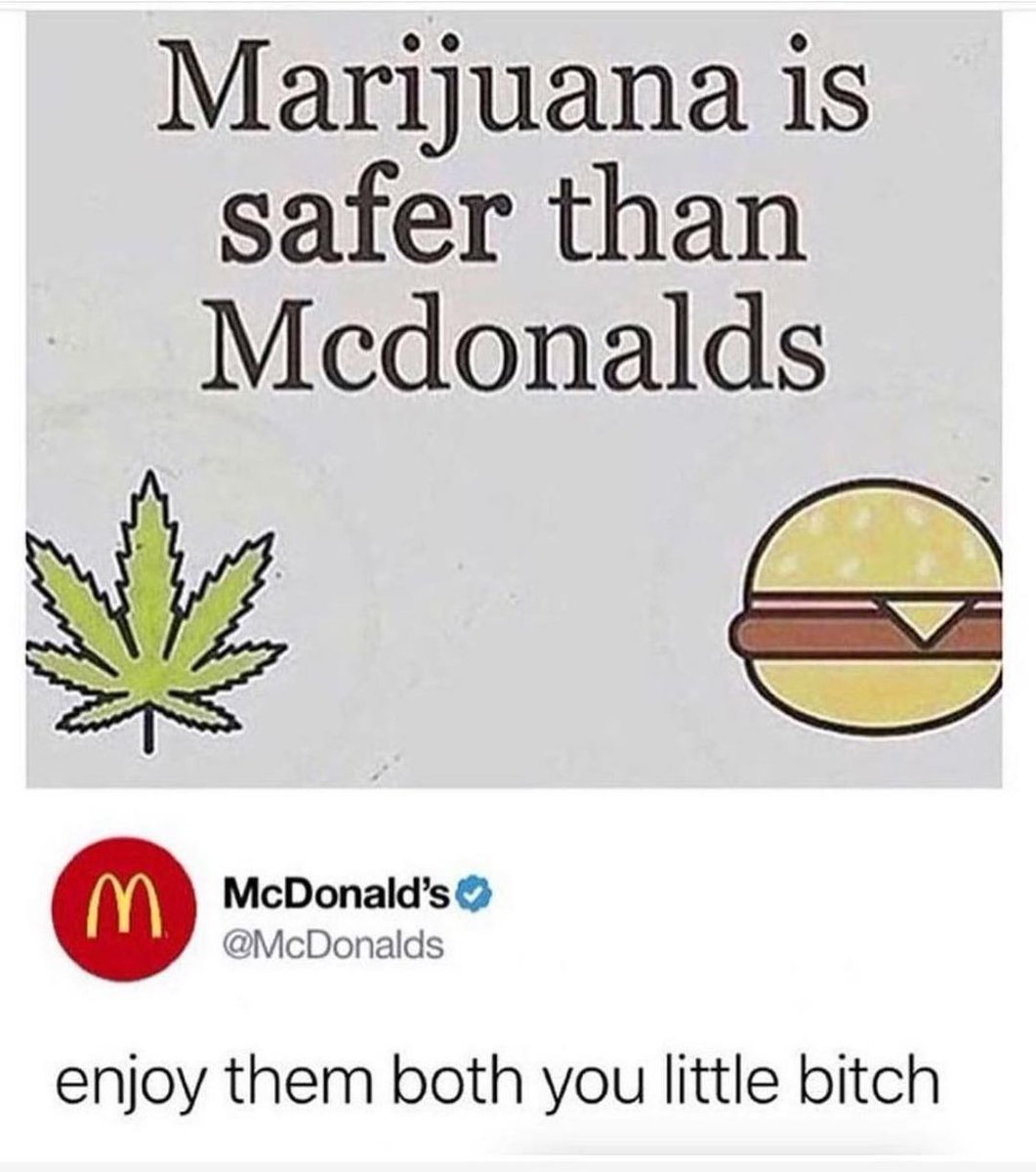 StonedGenie's tweet image. little bitch