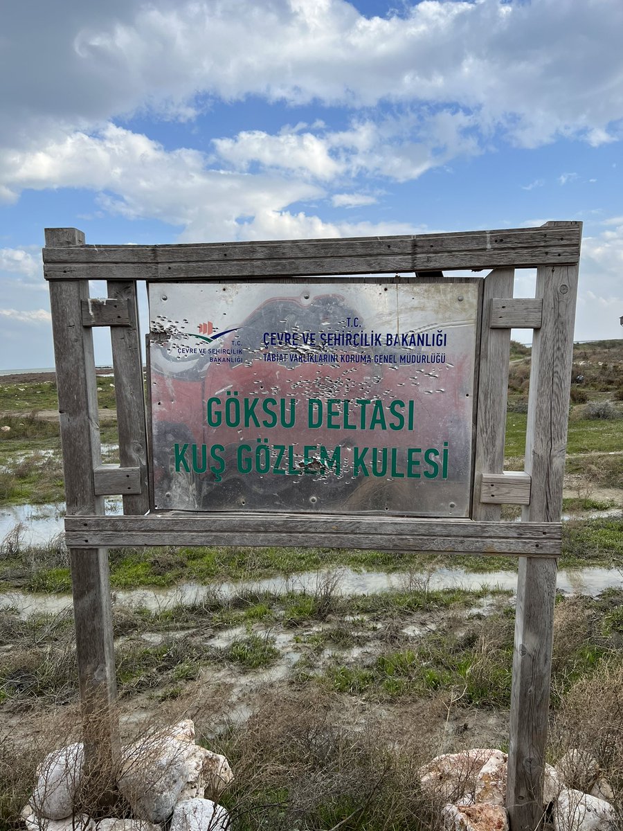 birddetectiveTR's tweet photo. Ülkenin genel halinin özeti. Fotoğraflara bakıp siz anlayın. :) https://t.co/K7wB8iyyCm