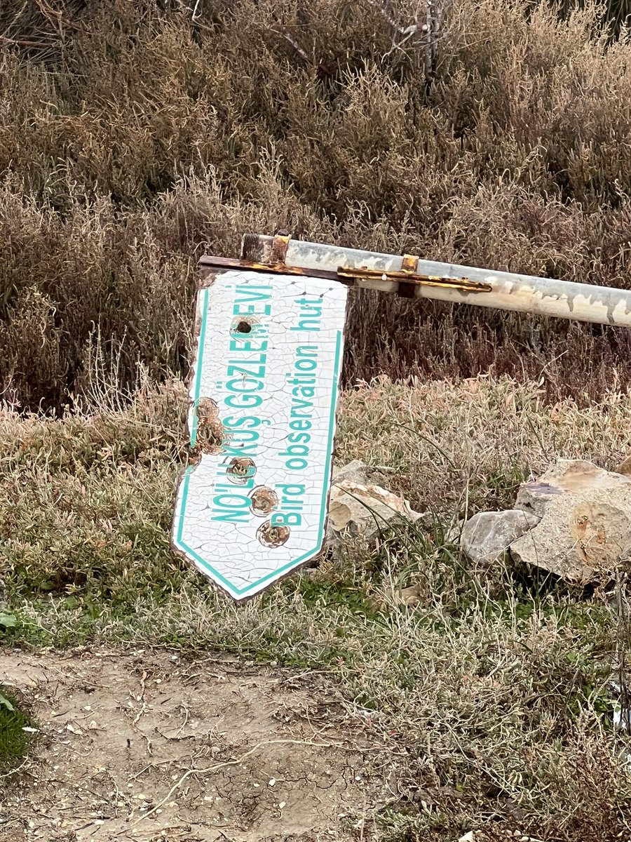 birddetectiveTR's tweet photo. Ülkenin genel halinin özeti. Fotoğraflara bakıp siz anlayın. :) https://t.co/K7wB8iyyCm