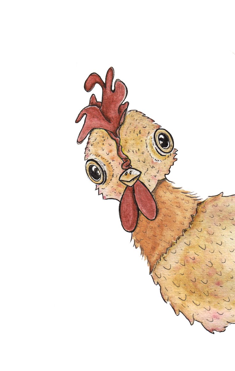 Hello there! 🐔#kidlitart #inkart #watercolor #chicken #InkDrawing  #picturebookart