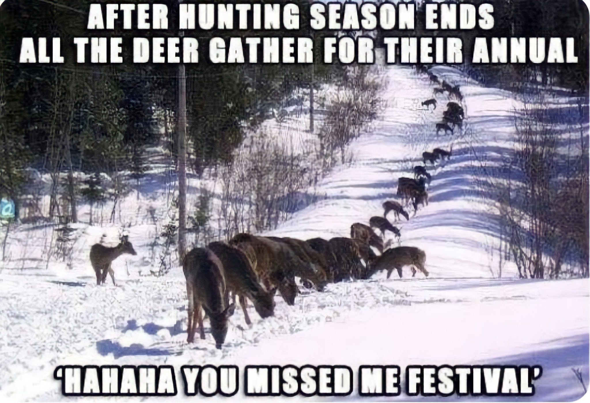 Moose and Hunter meme