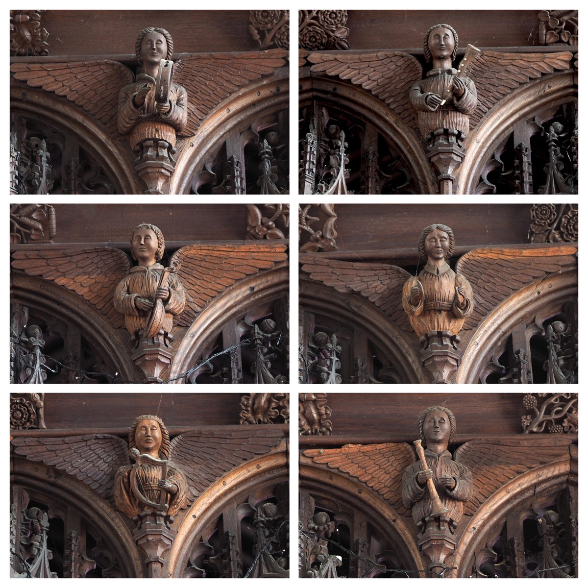 Let's take it again from the top, lads. Rood screen musician angels from St Mary's, Feltwell, Norfolk #AnimalsInChurchesHour #MusicInChurches