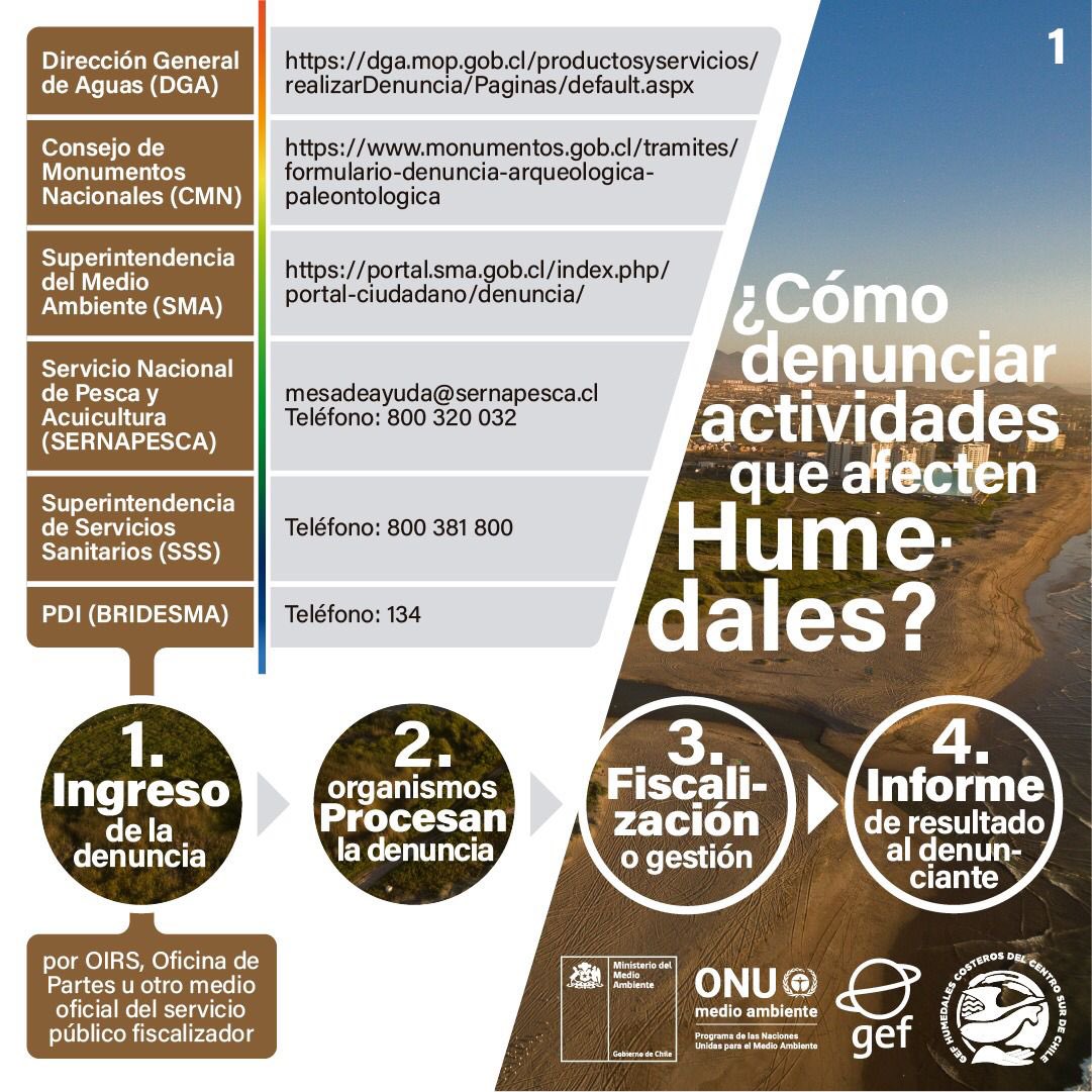 MMAChile's tweet photo. ¿Sabías que lanzamos una guía para denunciar las actividades que puedan afectar los humedales? https://t.co/hMI88hsRv2