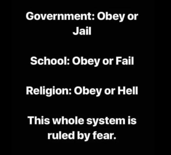 SerenityFoods's tweet photo. I am astounded at how many people's lives are predicated by fear: https://t.co/S1IrZmGNCB