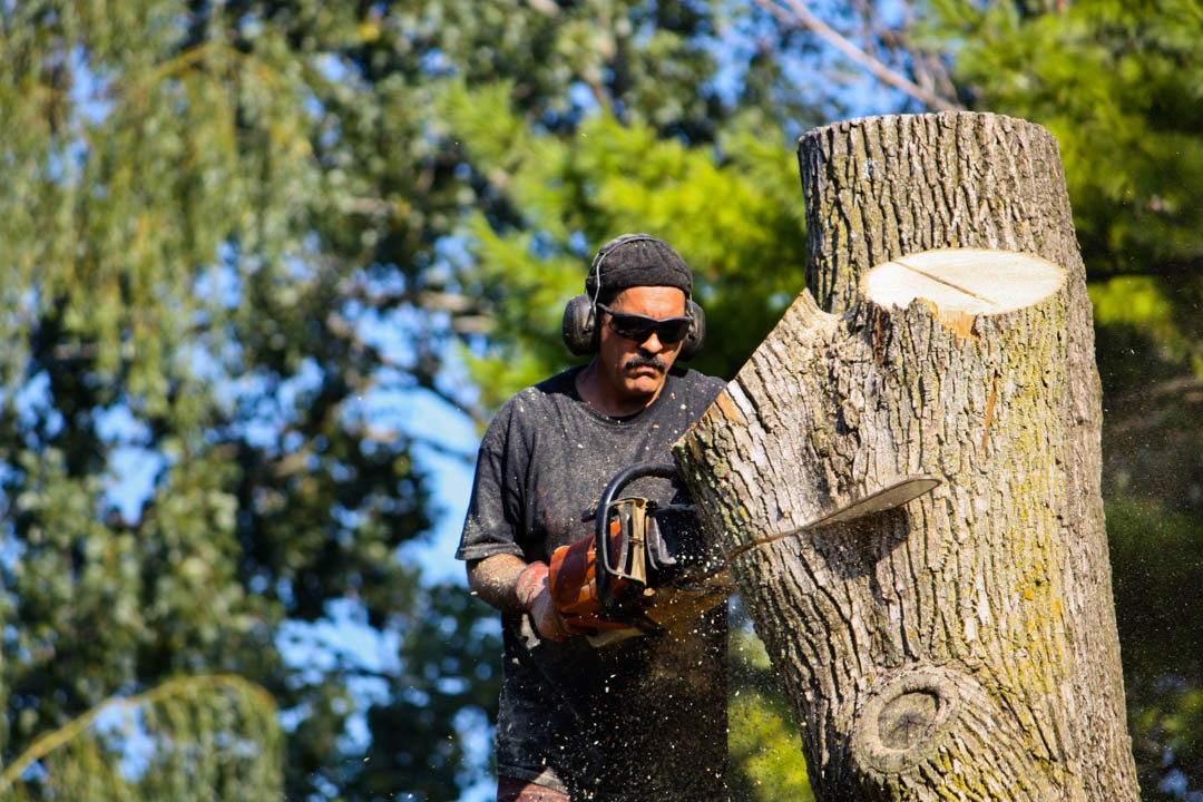 G2GTreeService's tweet image. Do you have services such as Tree Removal that needs to be completed out of Circleville? The team at G2G Tree Service LLC can take care of your Tree Removal needs for you. Call us today at (614) 639-0581 #TreeRemoval #TreeTakedown #TreeService bit.ly/3BtJuPR