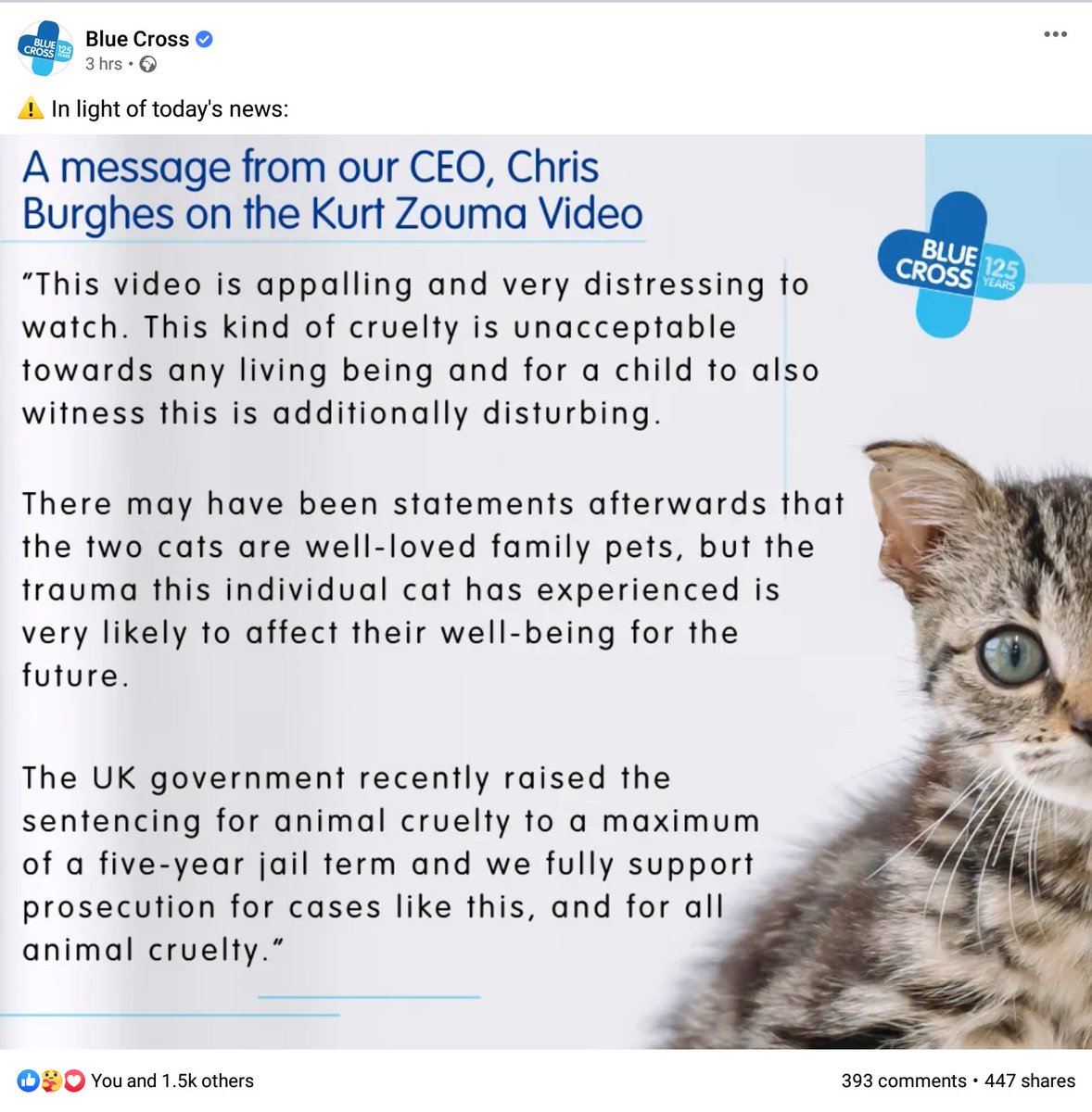 <a href="/theJeremyVine/">Jeremy Vine | Here, on Tiktok, Insta & Facebook</a> <a href="/metpoliceuk/">Metropolitan Police</a> <a href="/KurtZouma/">Kurt Zouma</a> @RSPCA_Frontline Screenshot of Blue Cross statement. Well said #BlueCross