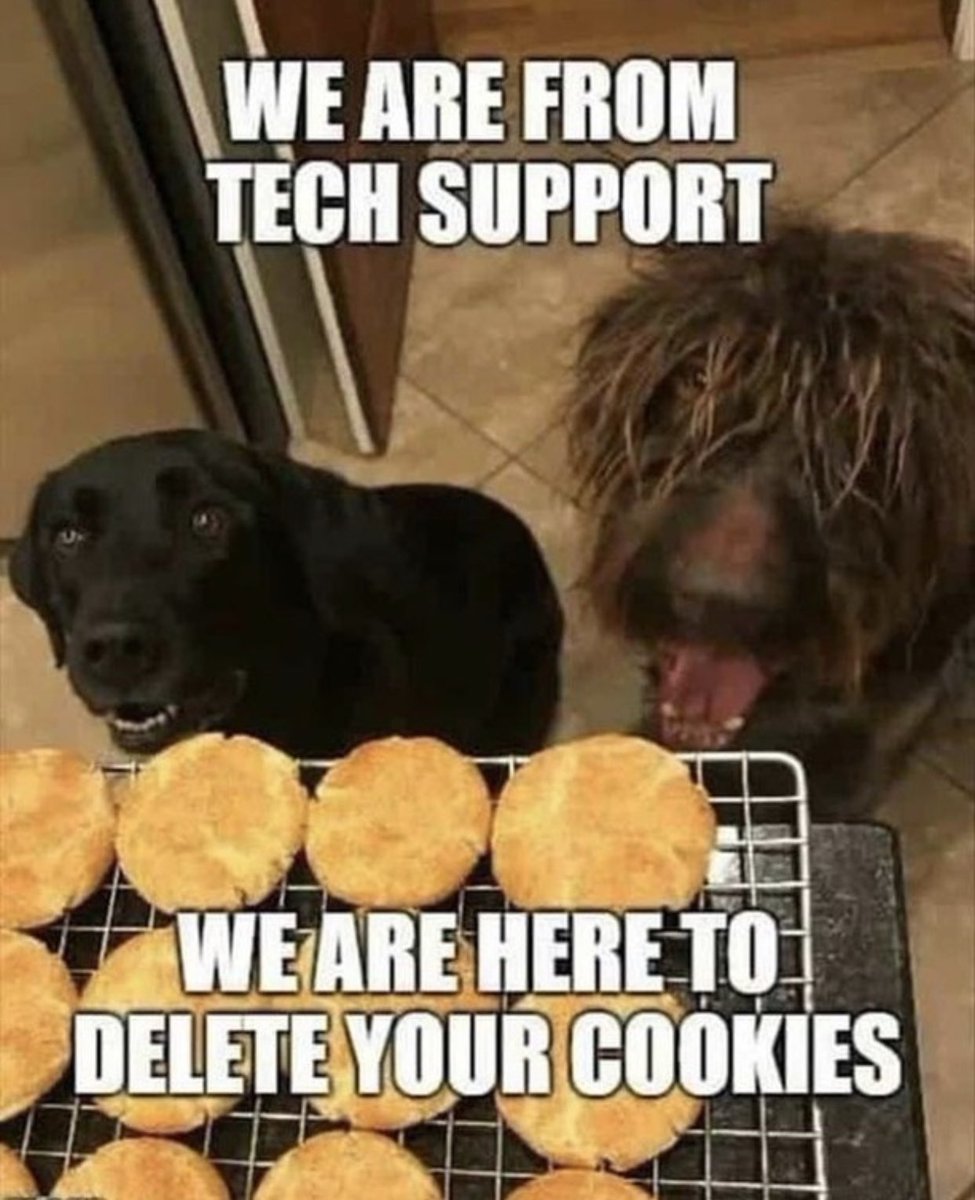I don’t remember tech support looking like this, do you? 😂
<a href="/DogMemes/">Dog Memes</a> 
#muttmerch #dogjokes #techsupport