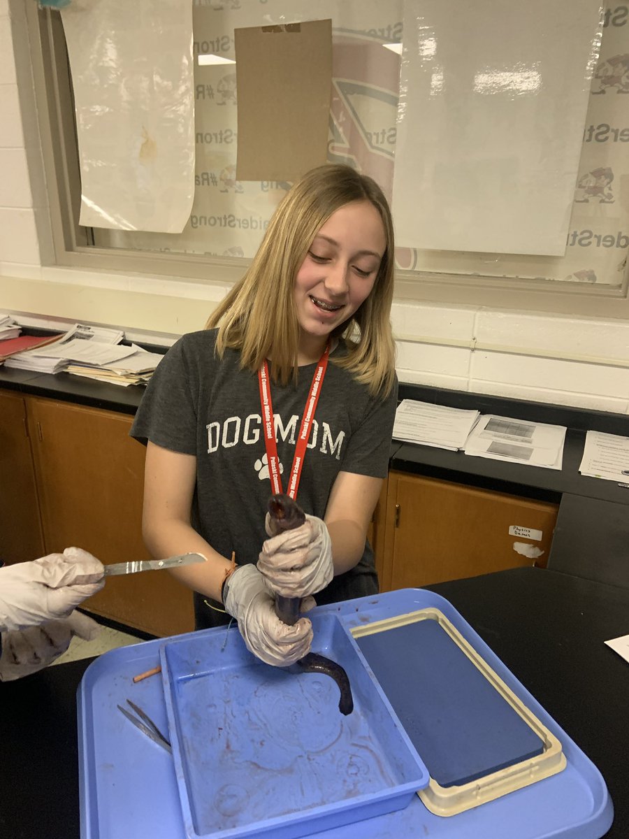 Dlanderspulaski's tweet photo. A big thanks to @LampreyControl for the #sealamprey specimens as @PCSD_PCMS students explore structure/function and #GreatLakes ecosystem #greatlakesliteracy @UWiscSeaGrant #RaiderStrong https://t.co/Y4R9pU3SvD